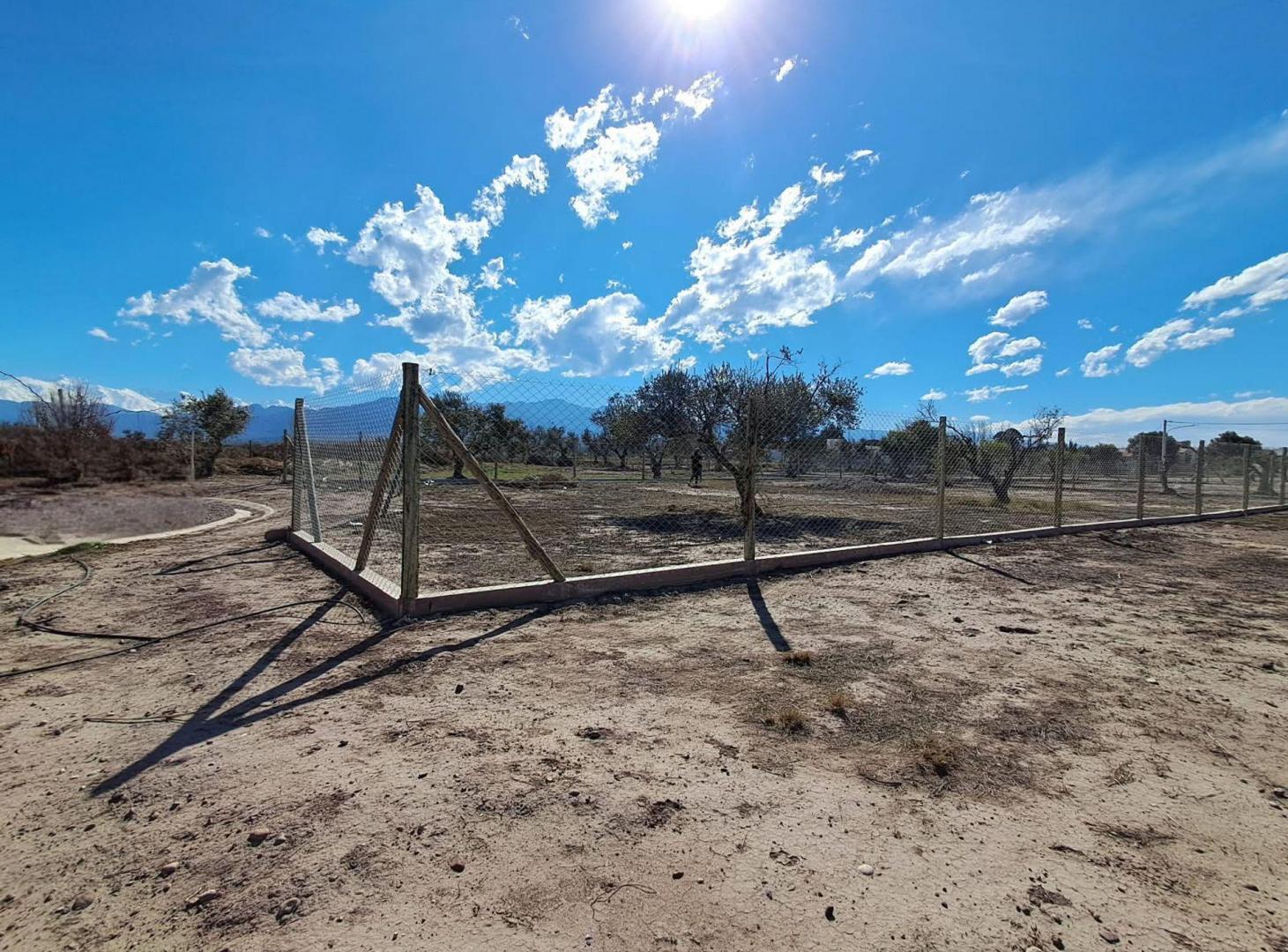 Foto de Terreno en venta en Vistalba, Luján de Cuyo, imagen 3