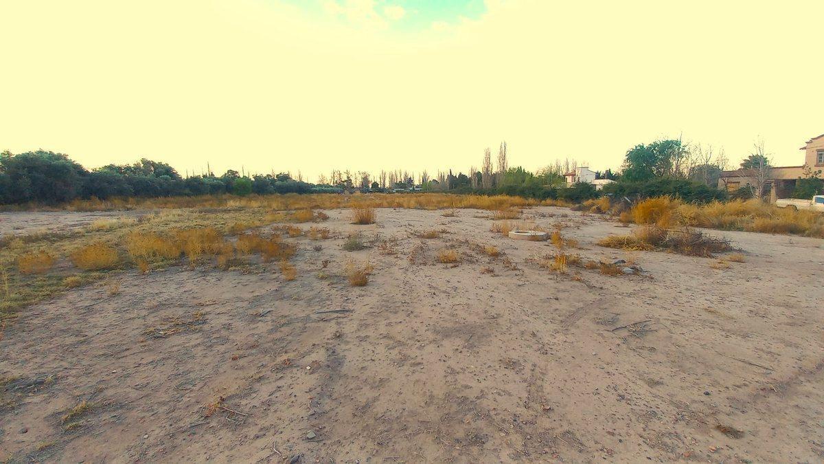 Foto de Gran Terreno en Venta - Maipú - Mendoza, imagen 3