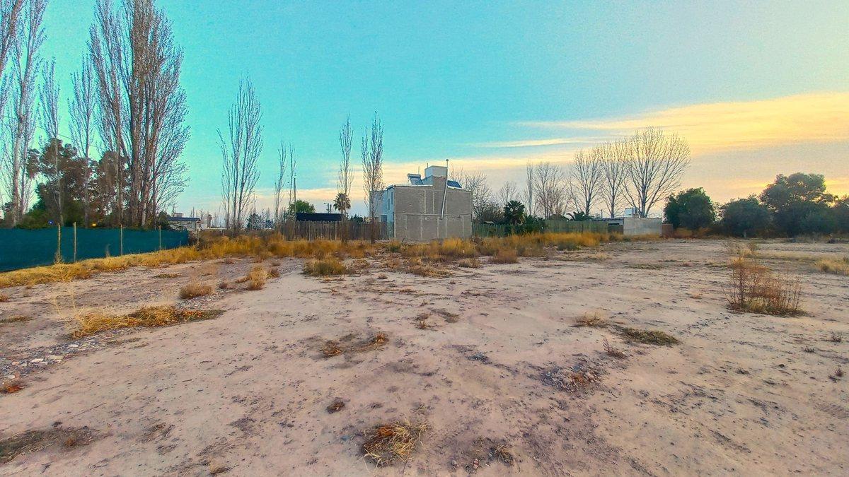 Foto de Gran Terreno en Venta - Maipú - Mendoza, imagen 5