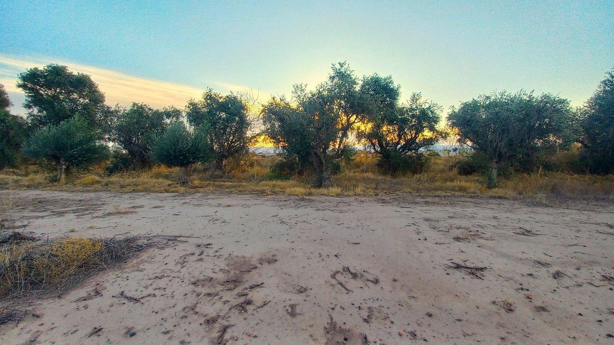 Foto de Gran Terreno en Venta - Maipú - Mendoza, imagen 4