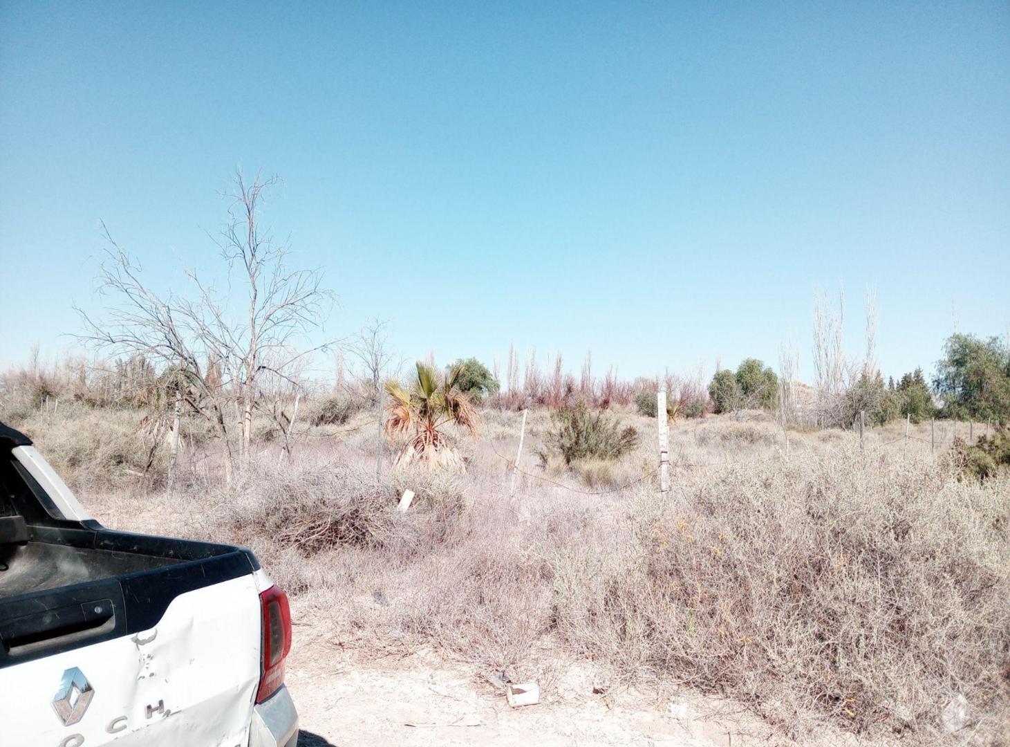 Foto de Lote en venta Los Corralitos Gllen calle 2 de Mayo, imagen 3