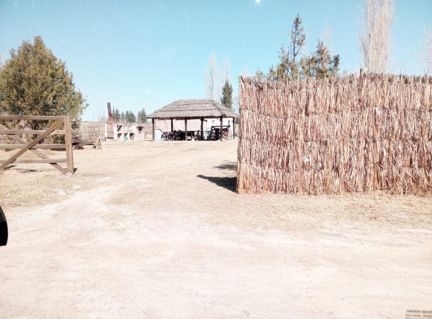 Foto de Lote en venta Los Corralitos Gllen calle 2 de Mayo, imagen 4