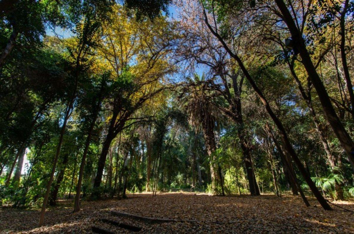 Foto de VENTA LOTE BARRIO PRIVADO EL BOSQUE MAIPU, imagen 4