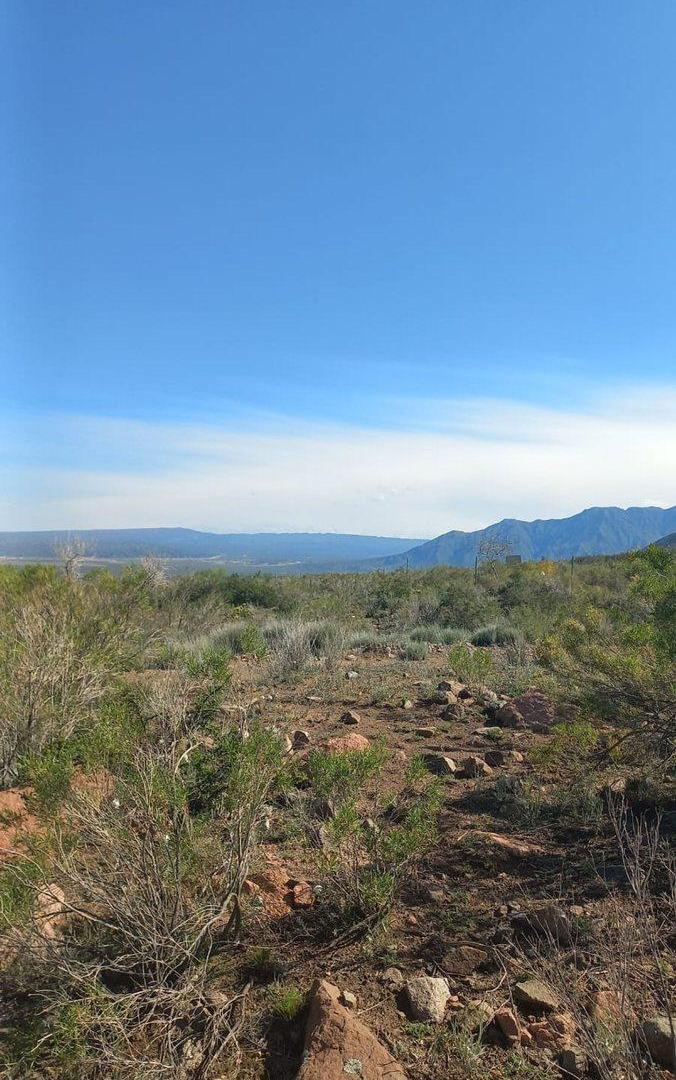 Foto de VENTA LOTE LA CRUCESITA MENDOZA, imagen 5