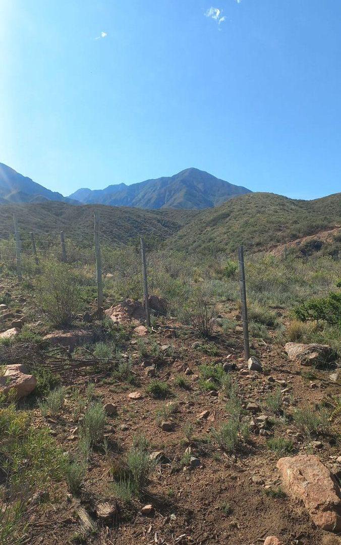 Foto de VENTA LOTE LA CRUCESITA MENDOZA, imagen 2