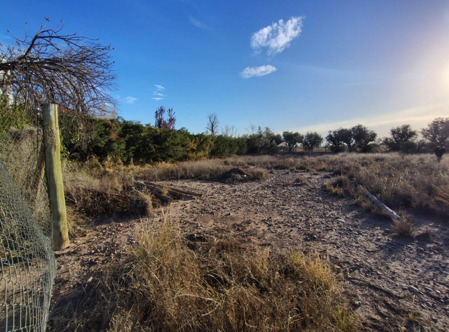 Foto de Se vende Lote en Chacras de Coria, imagen 5