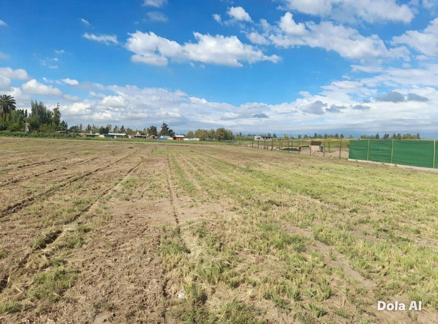 Foto de Terreno en venta calle Reconquista Rodeo del Medio, imagen 1