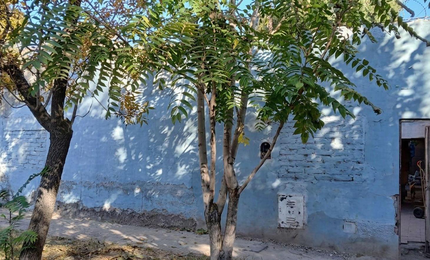 Foto de VENTA LOTE SAN JOSE GUAYMALLEN, imagen 1