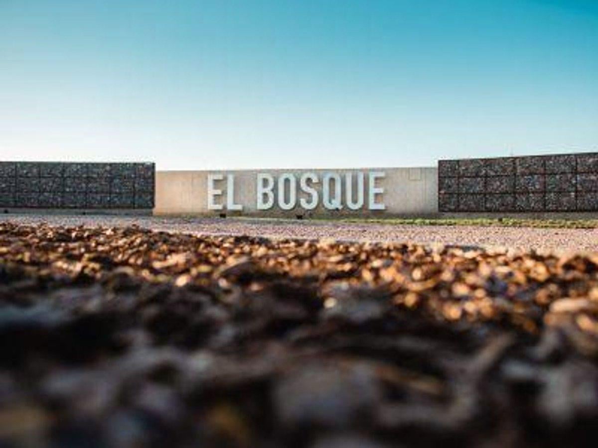 Foto de LOTE COMPLEJO EL BOSQUE, imagen 3