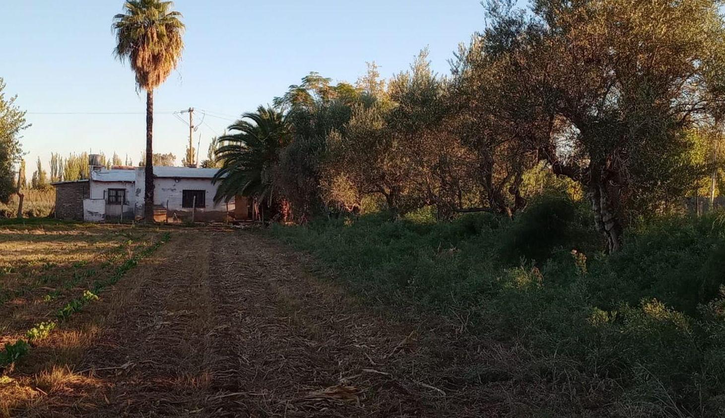 Foto de Venta de finca con dos casas mixta,Los corralitos, imagen 2