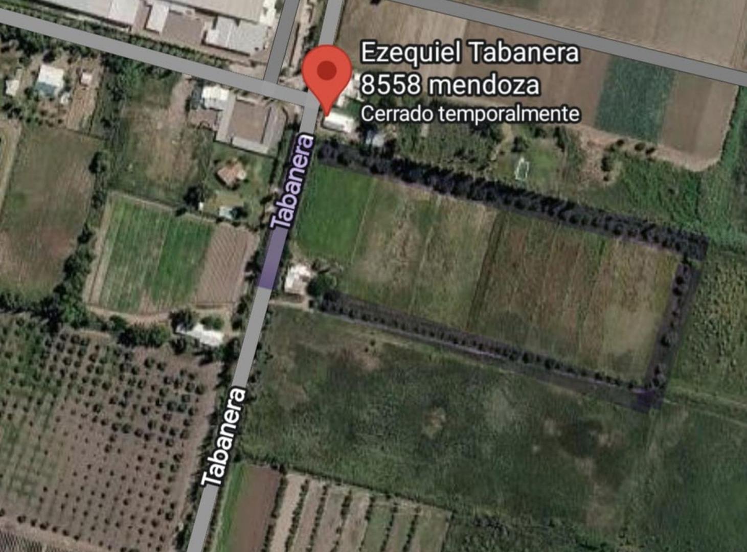 Foto de Venta de finca con dos casas mixta,Los corralitos, imagen 5