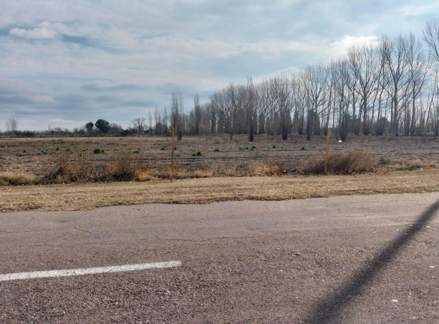 Foto de Lotes en Mendoza, General Alvear, Bowen, imagen 1