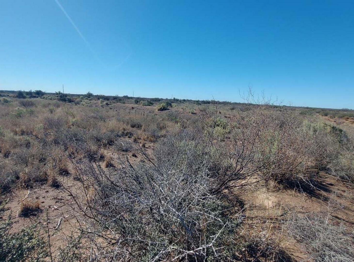 Foto de VENTA FINCA SANTA ROSA MENDOZA, imagen 3