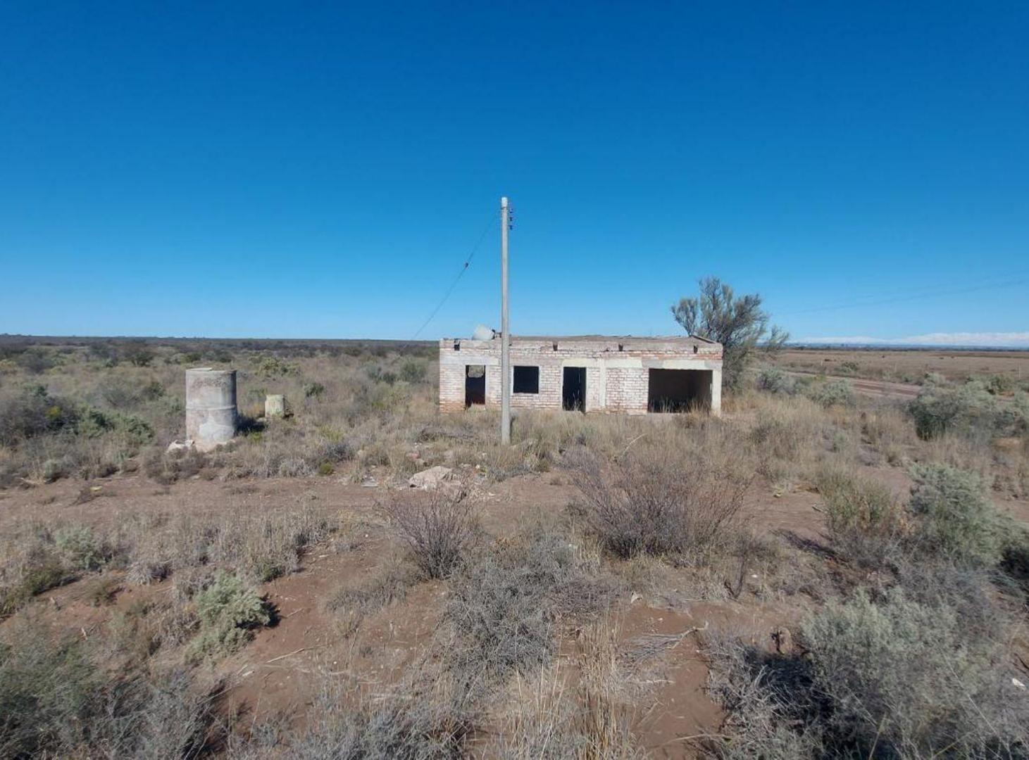 Foto de VENTA FINCA SANTA ROSA MENDOZA, imagen 2