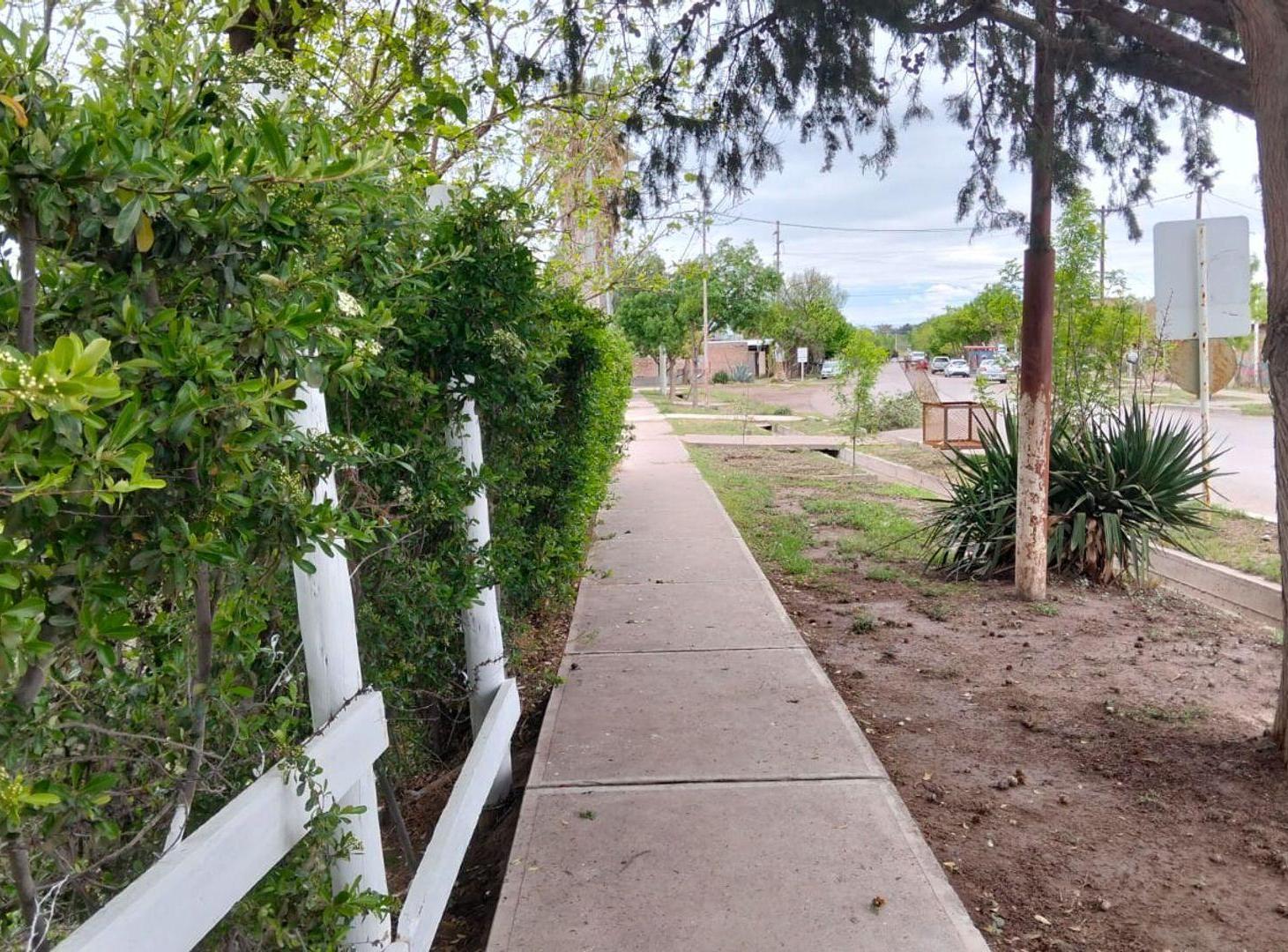 Foto de Venta de Casa con pileta, General Alvear, Mendoza, imagen 1