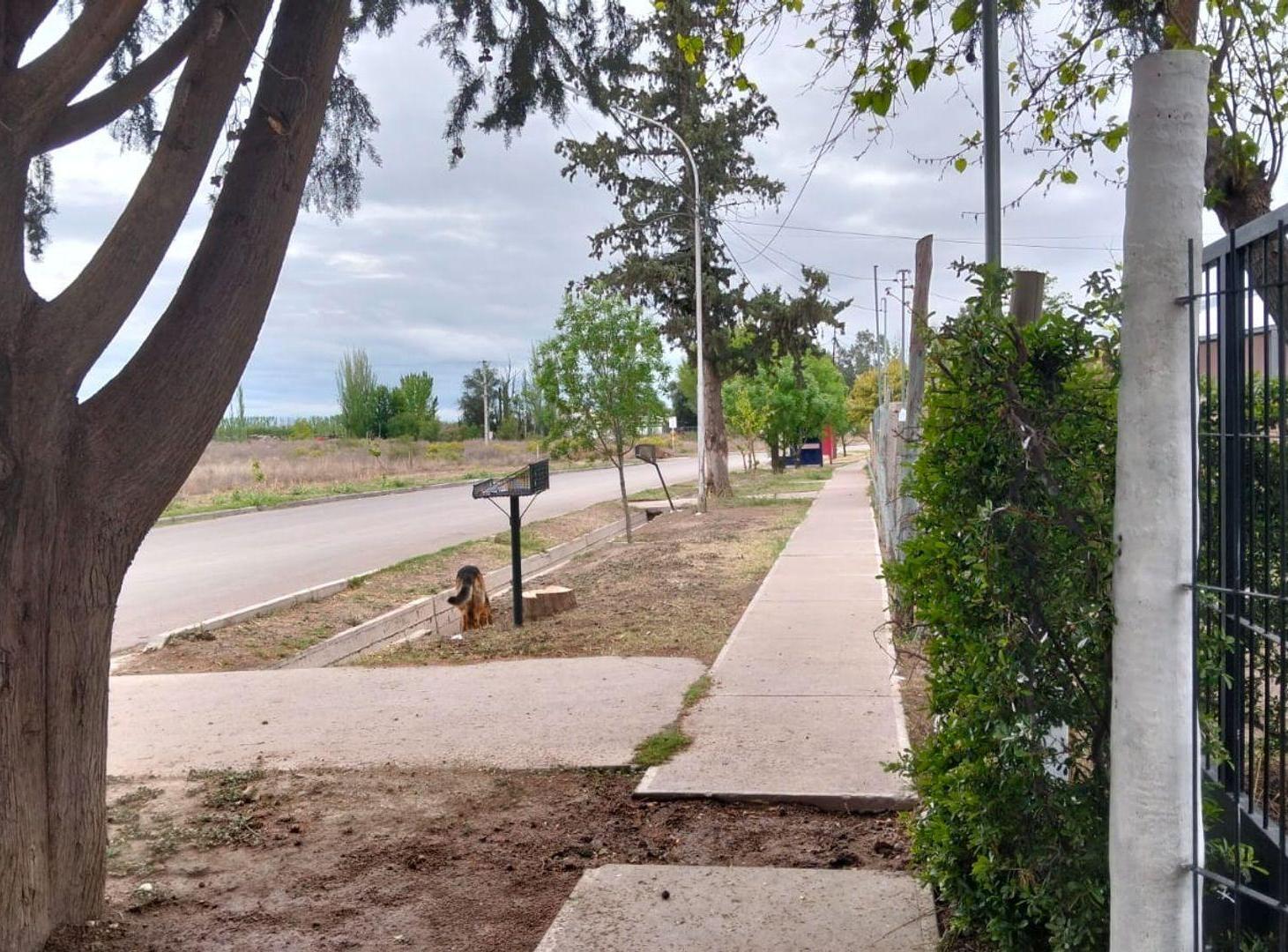 Foto de Venta de Casa con pileta, General Alvear, Mendoza, imagen 3