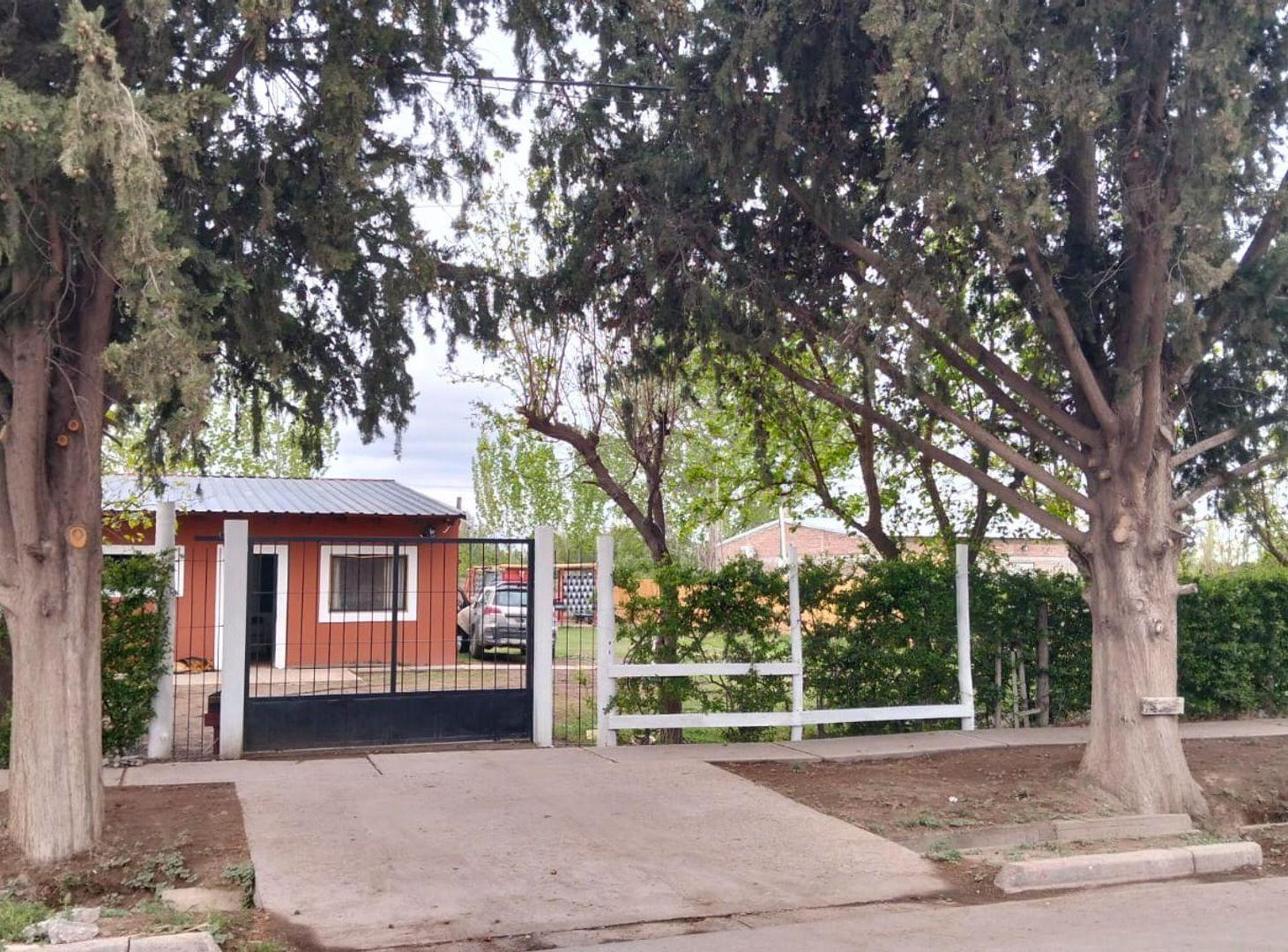 Foto de Venta de Casa con pileta, General Alvear, Mendoza, imagen 2