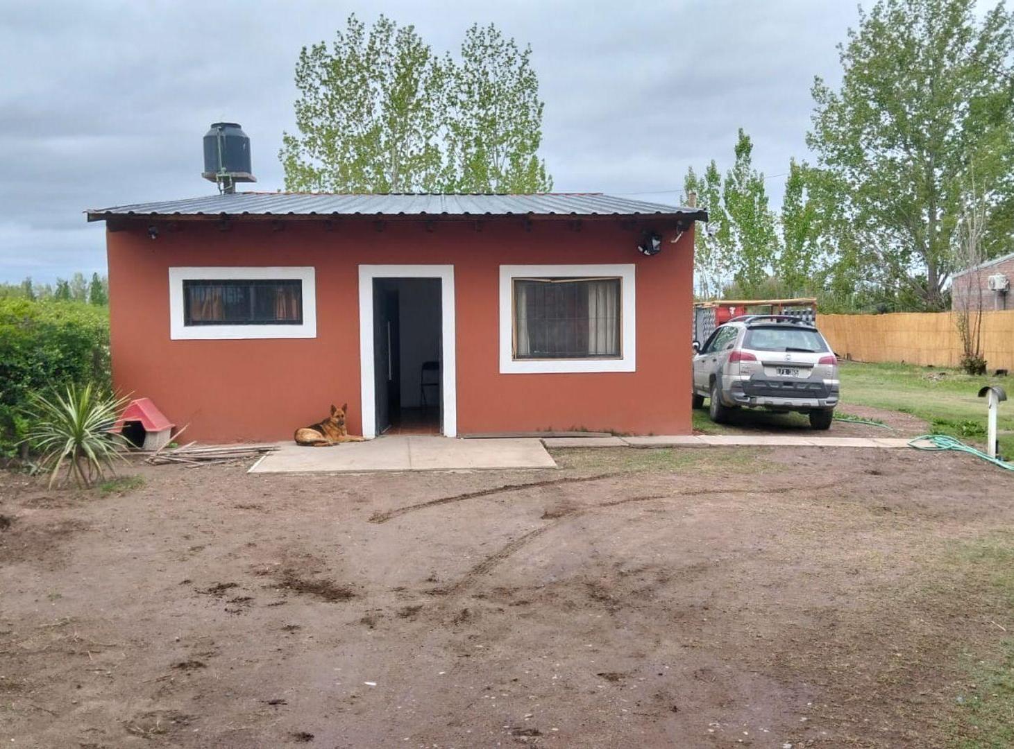 Foto de Venta de Casa con pileta, General Alvear, Mendoza, imagen 5