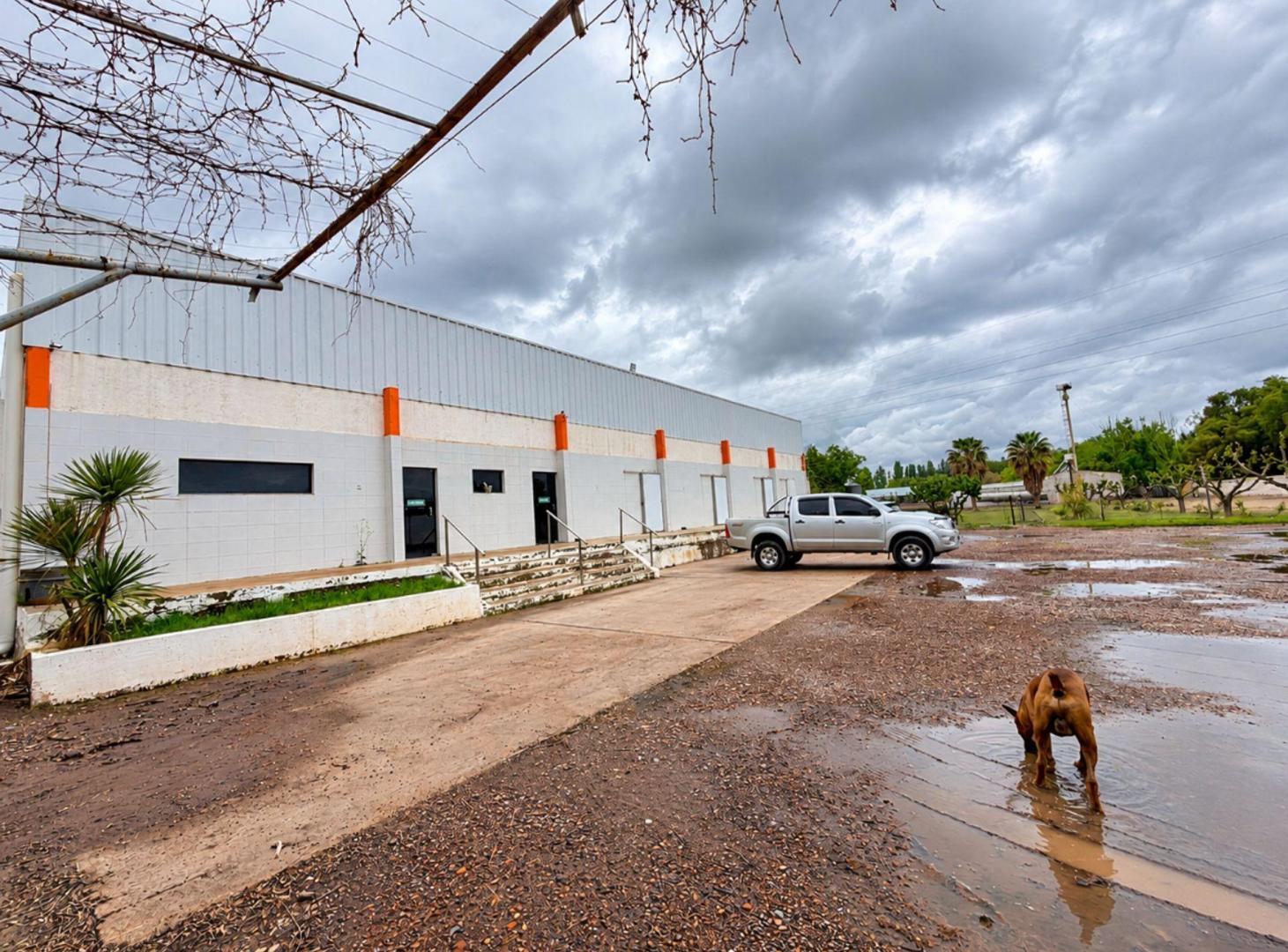 Foto de ALQUILER PLANTA INDUSTRIAL, LOGÍSTICA Y COMERCIAL, imagen 2