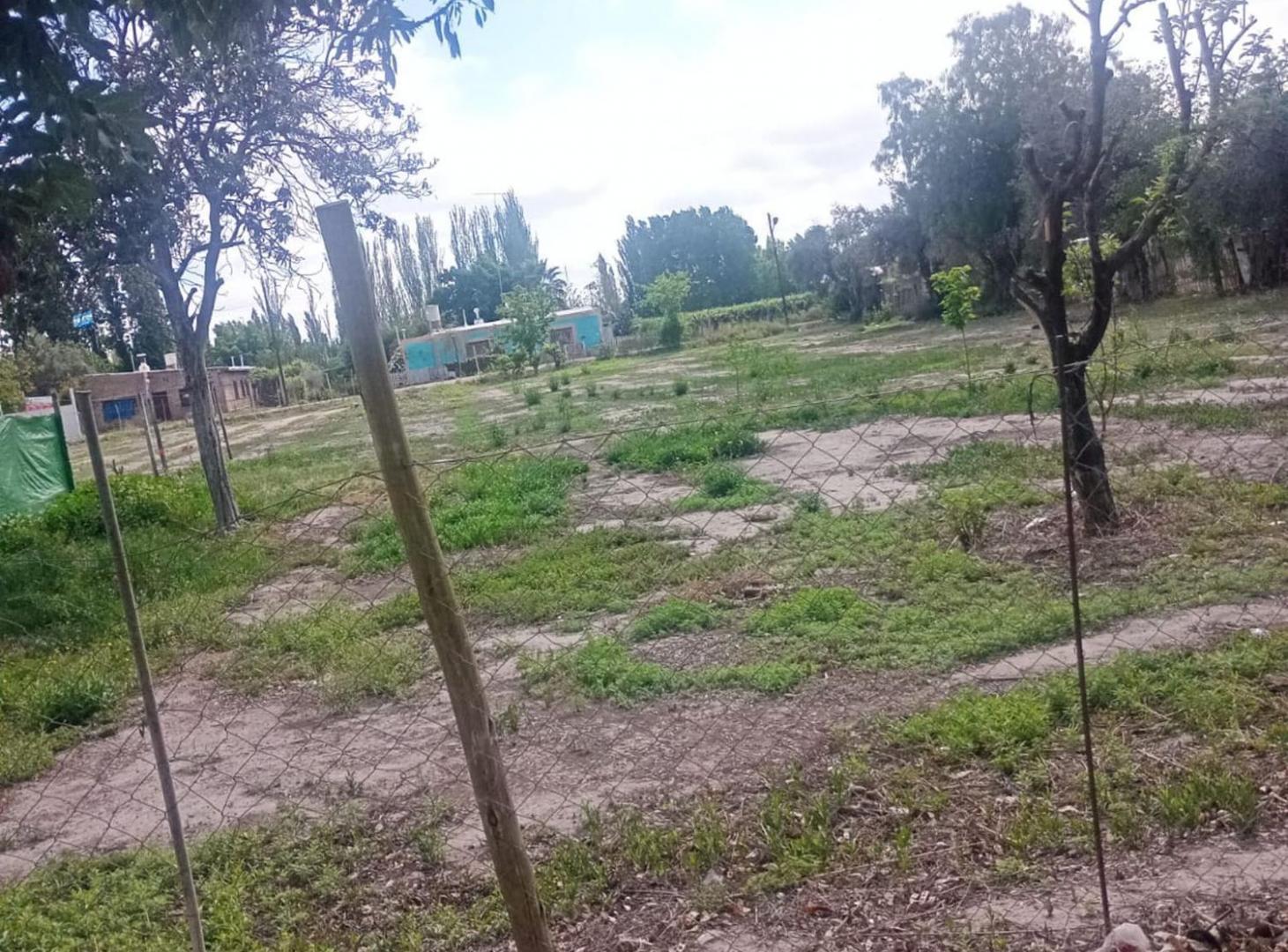 Foto de Venta Terreno Distrito Ciudad San Martin Mendoza, imagen 3