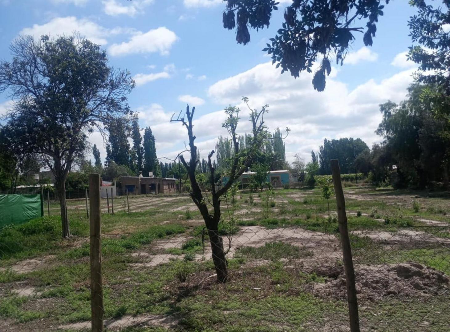 Foto de Venta Terreno Distrito Ciudad San Martin Mendoza, imagen 4