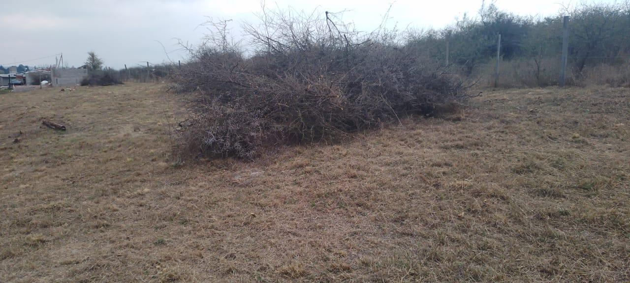 Foto de TERRENO VENTA PARQUE SIQUIMAN, imagen 3