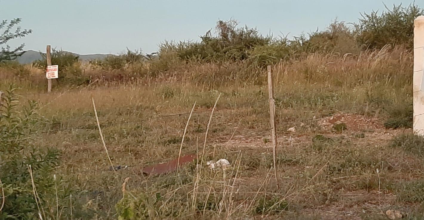 Foto de TERRENO VENTA PARQUE SIQUIMAN, imagen 4