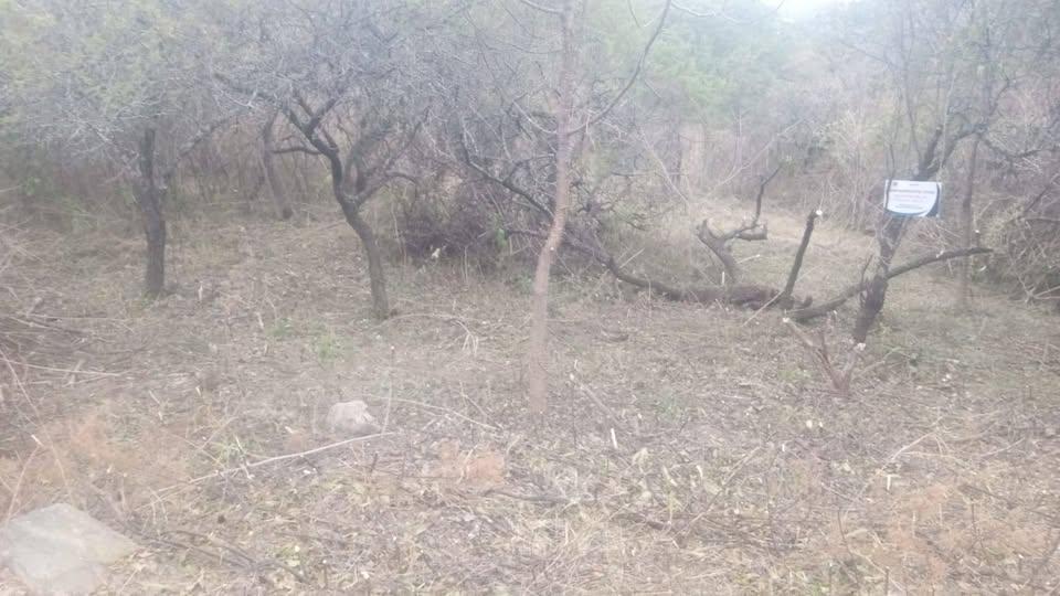 Foto de TERRENO VENTA RIO CEBALLOS, imagen 2