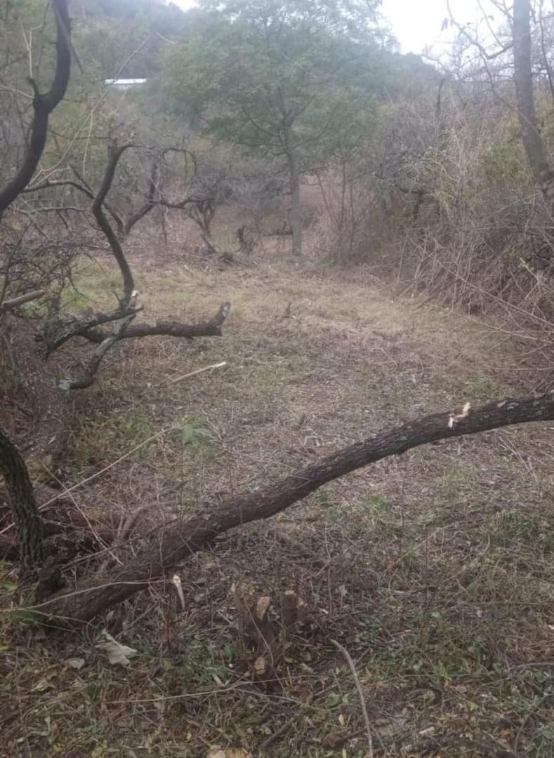 Foto de TERRENO VENTA RIO CEBALLOS, imagen 5