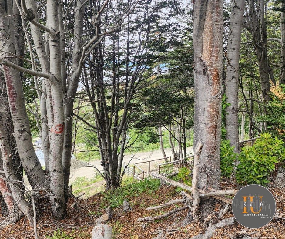 Terreno en Venta - Ideal Inversionistas 3