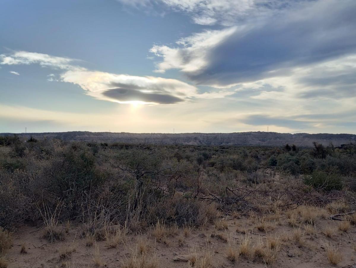 Terreno en Venta en El Carrizal 2
