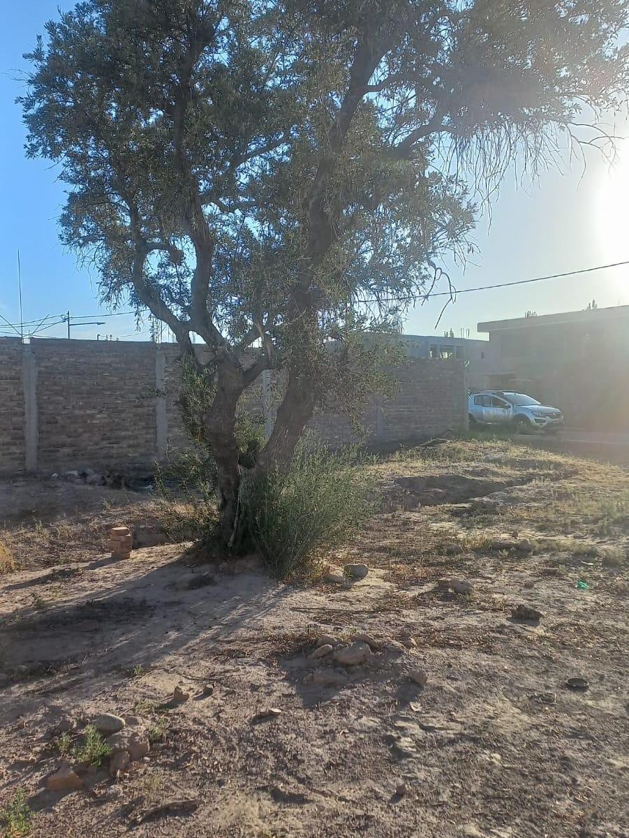 Venta Lote en Carrodilla 4