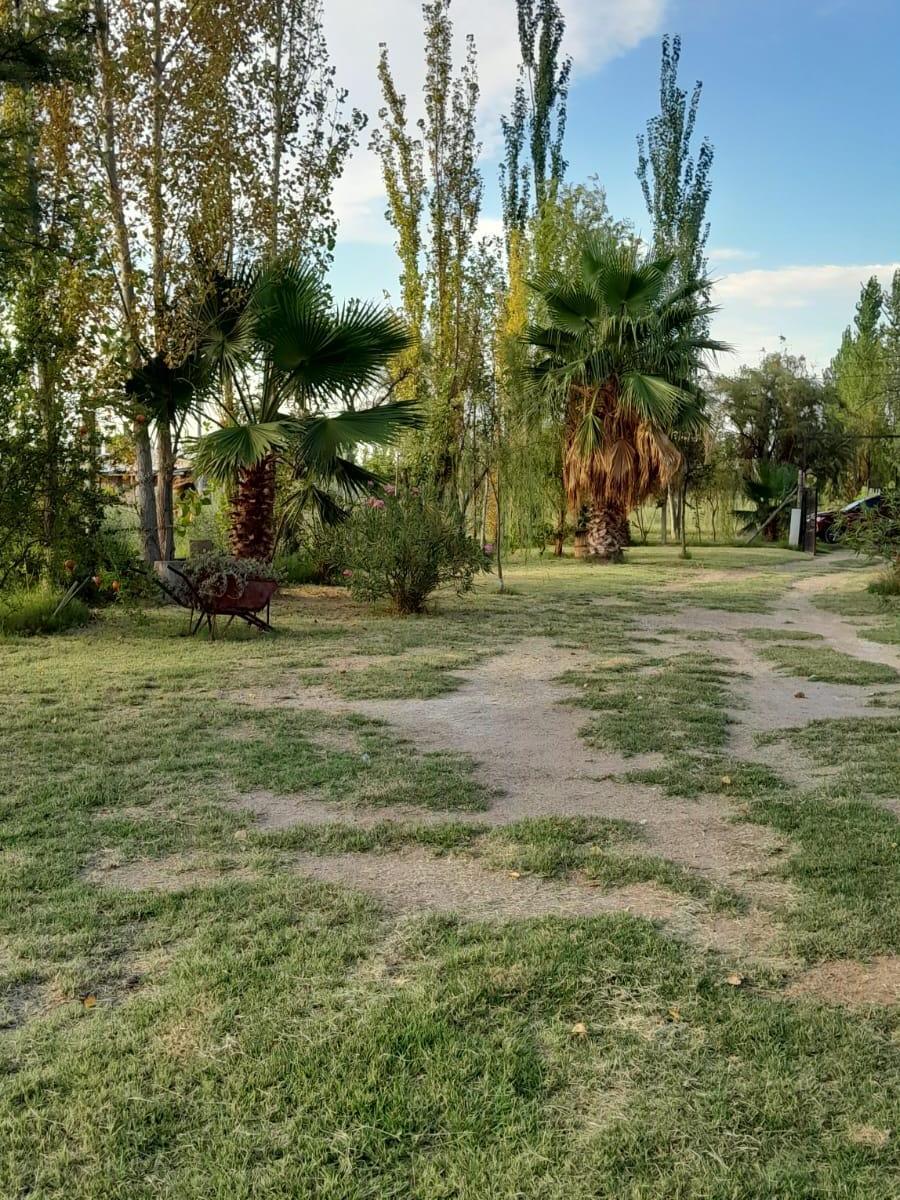 Venta Quincho con Piscina 5