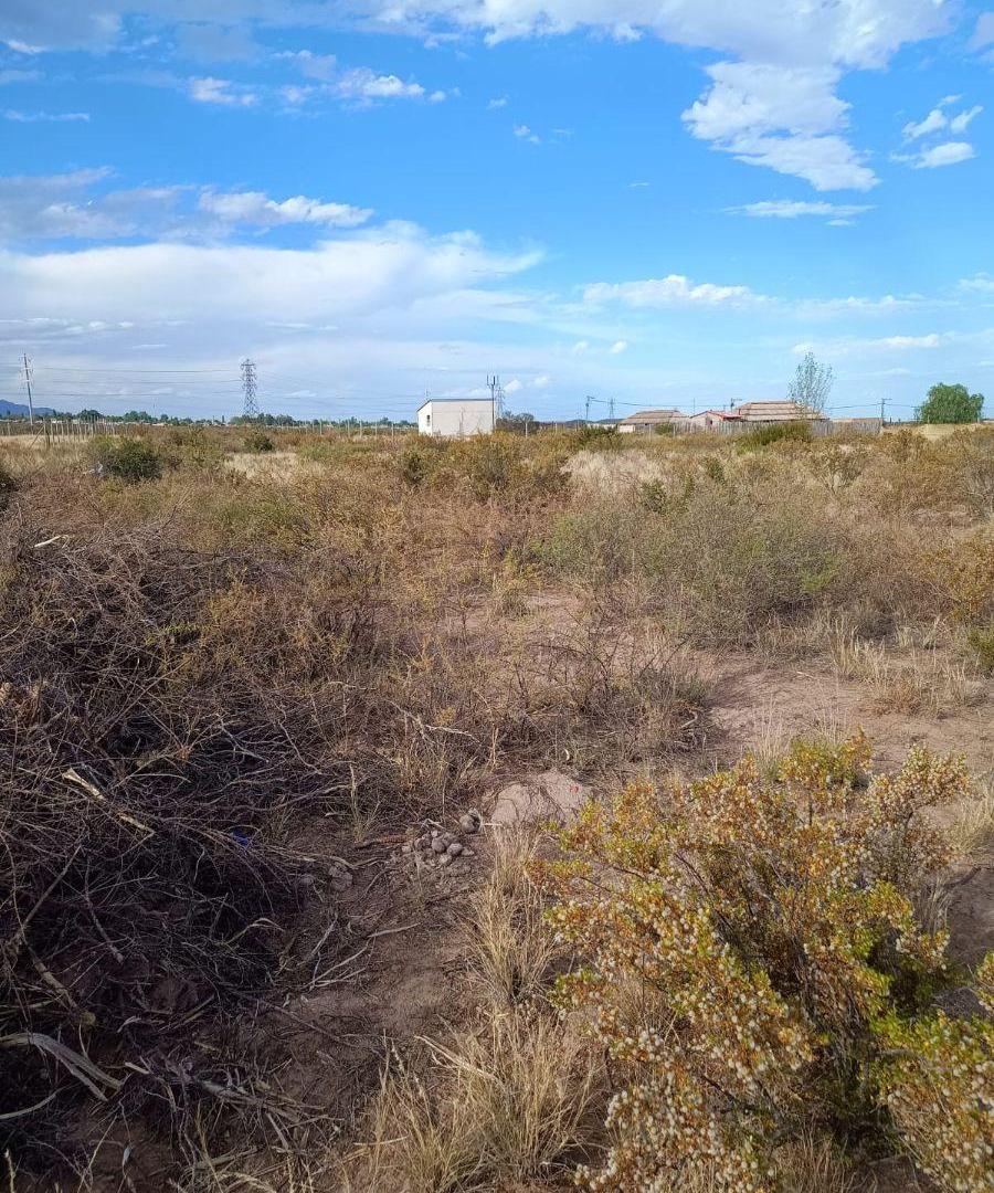 Foto de Venta de lote en Luján de Cuyo., imagen 5