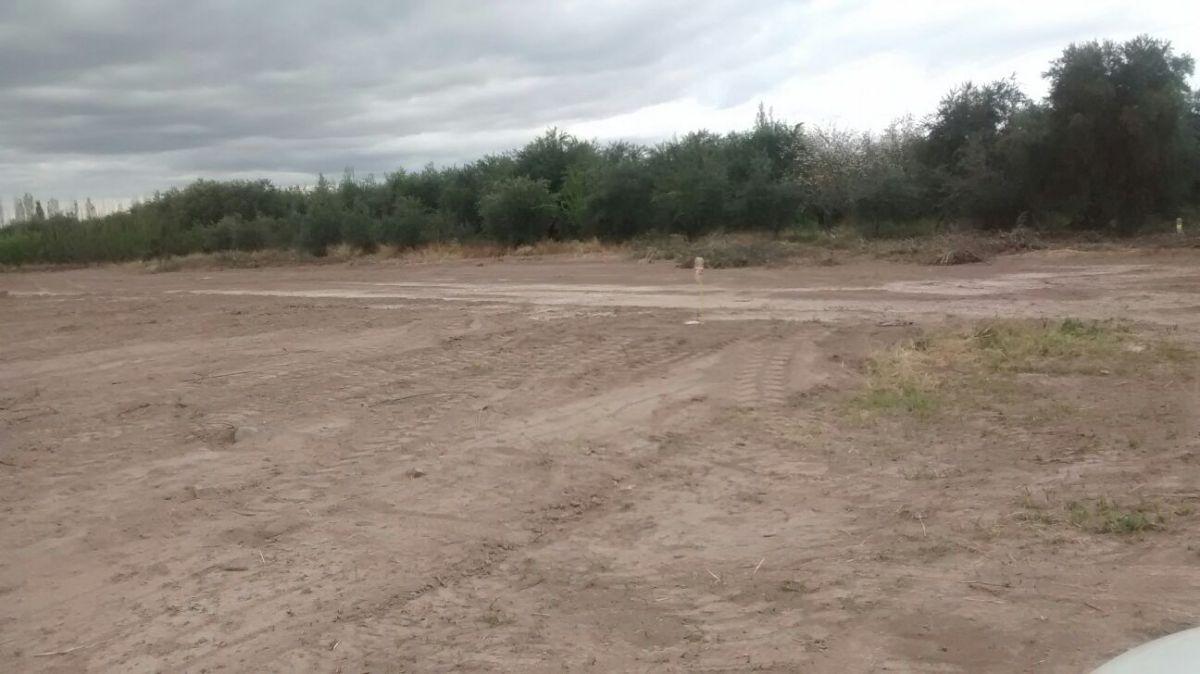 Foto de VENTA DE TERRENO EN MAIPU, imagen 5