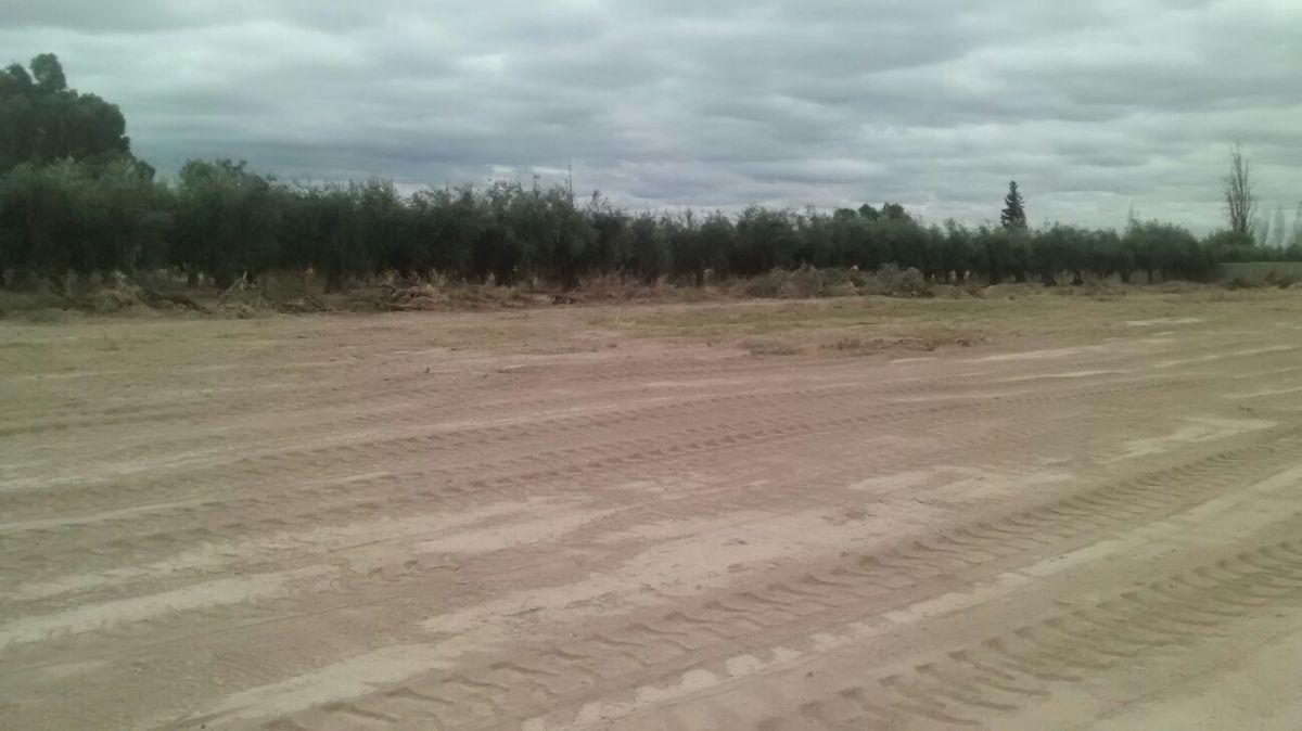 Foto de VENTA DE TERRENO EN MAIPU, imagen 1
