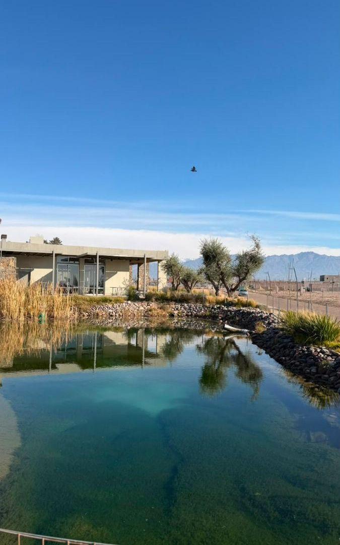 Foto de la propiedad en S. Corvalan 501, Luján de Cuyo, Mendoza
