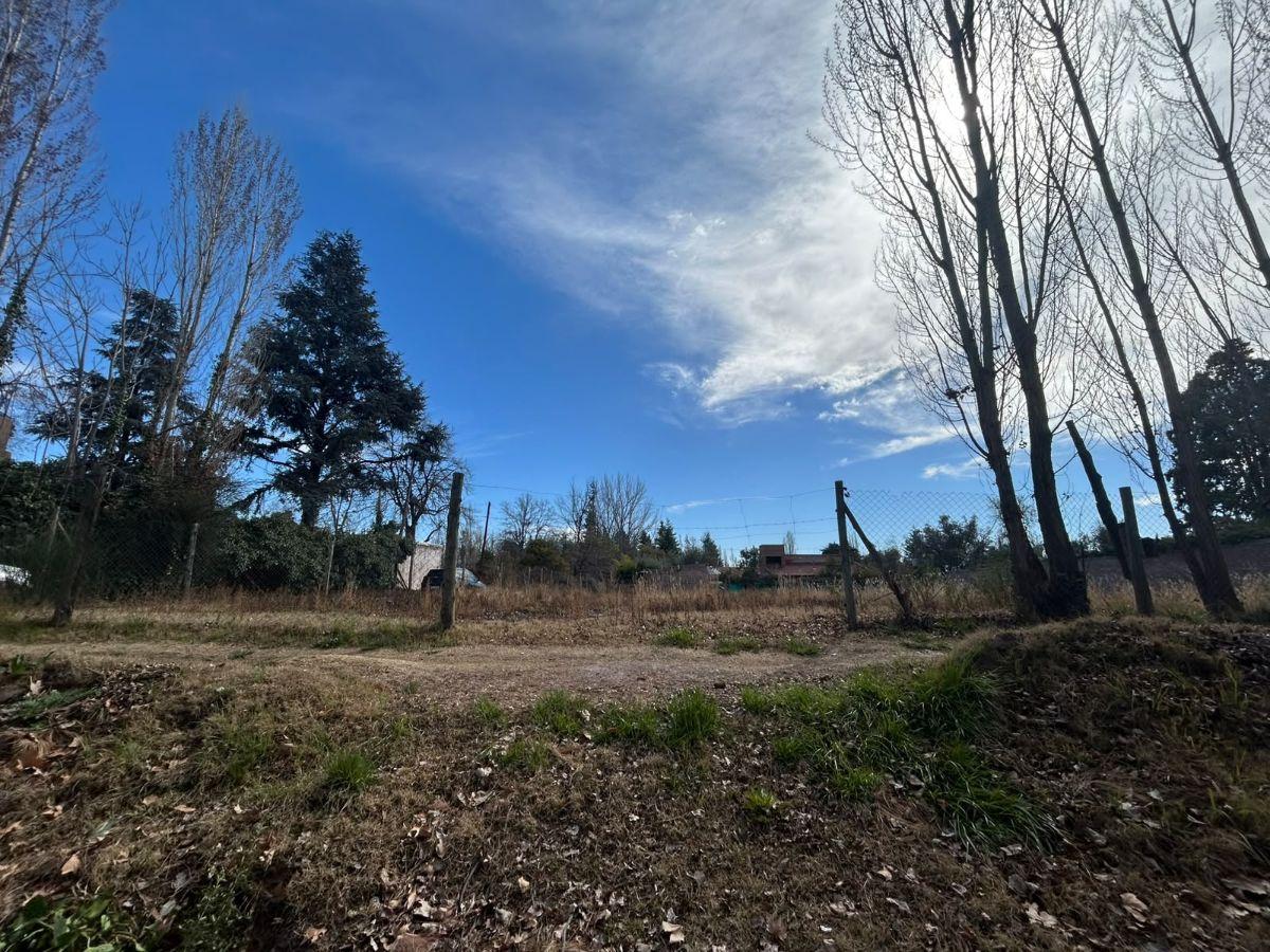 Foto de VENTA | TERRENO | LUJAN DE CUYO | CALLE PUEYRREDÓN, imagen 5