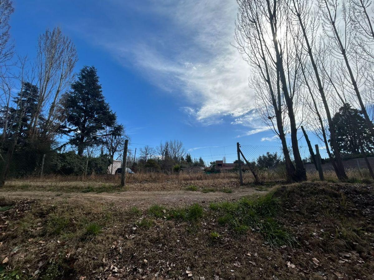 Foto de VENTA | TERRENO | LUJAN DE CUYO | CALLE PUEYRREDÓN, imagen 1