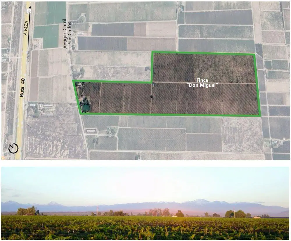 finca lujan de cuyo 2