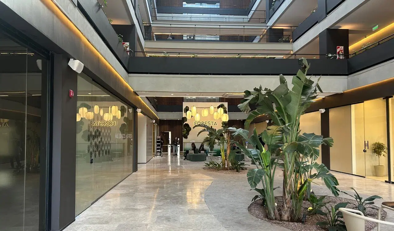 Oficina foresta 5