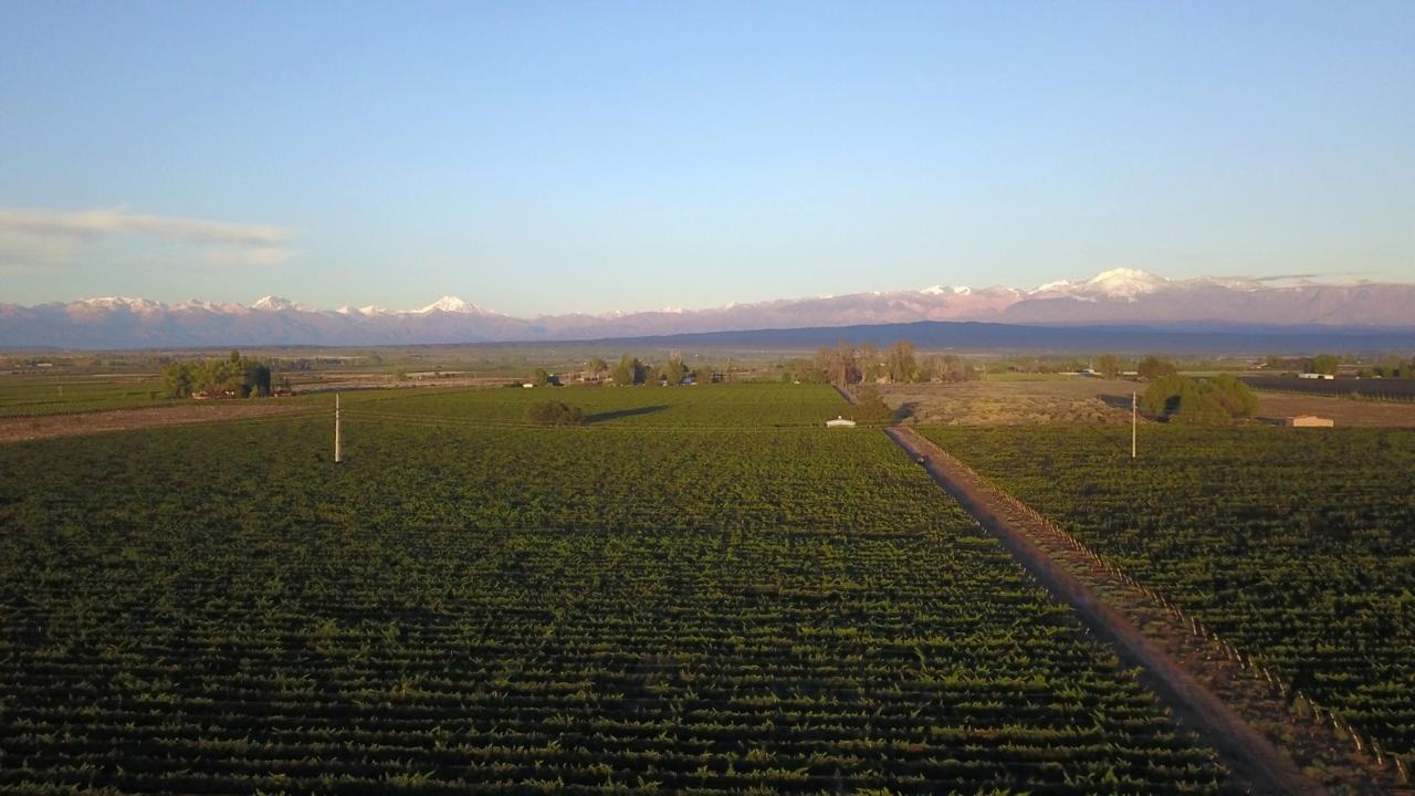 Foto de finca lujan de cuyo, imagen 1
