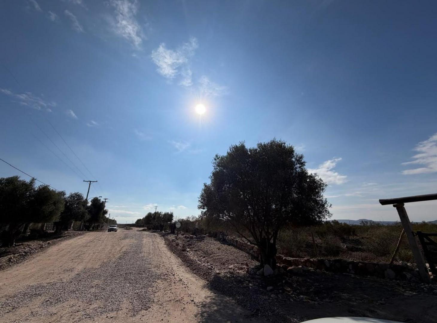 Foto de terreno La Magdalena de olivar, imagen 4