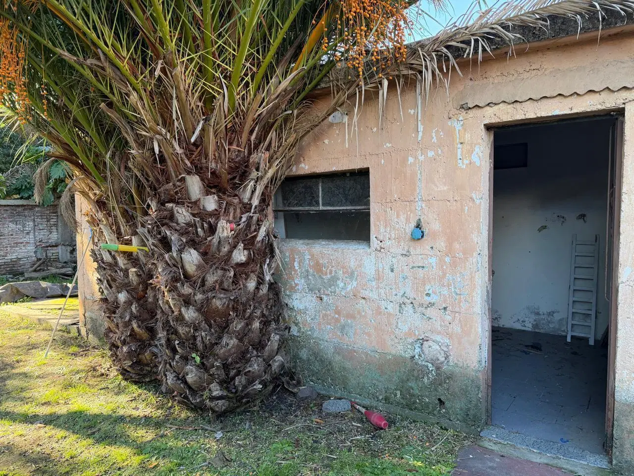 Casa en 10 e/ 502 y 503 de 2 hab/ liv/ com/ 2 baños/ jardín 4