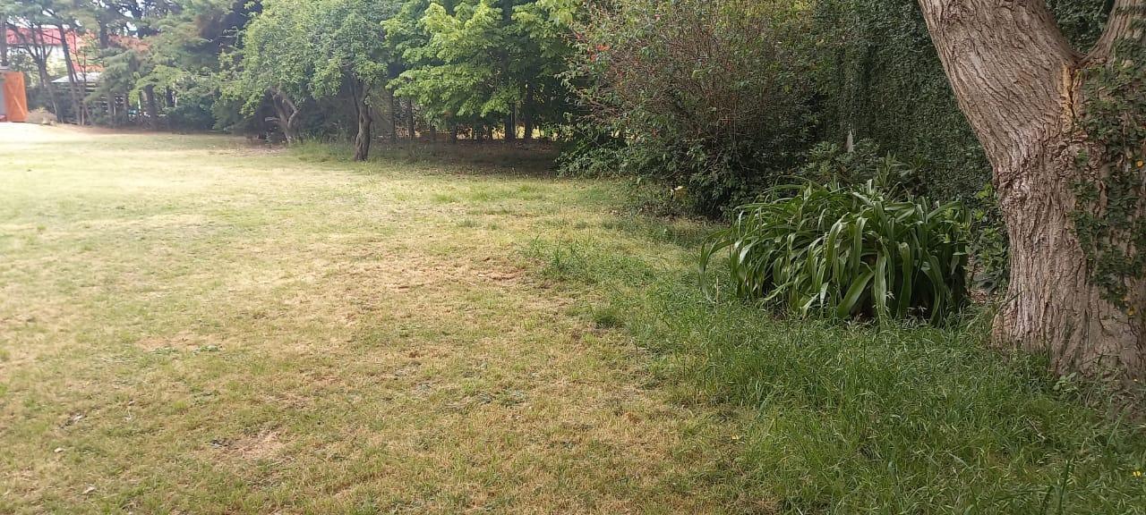 Foto de Terreno en venta, imagen 5