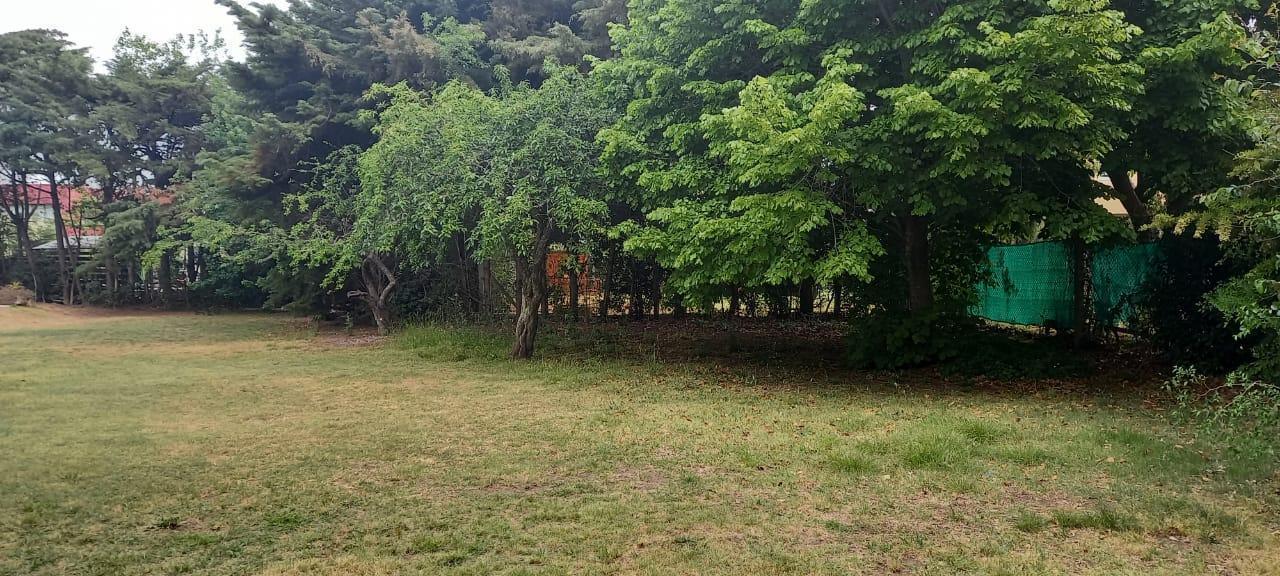 Foto de Terreno en venta, imagen 2