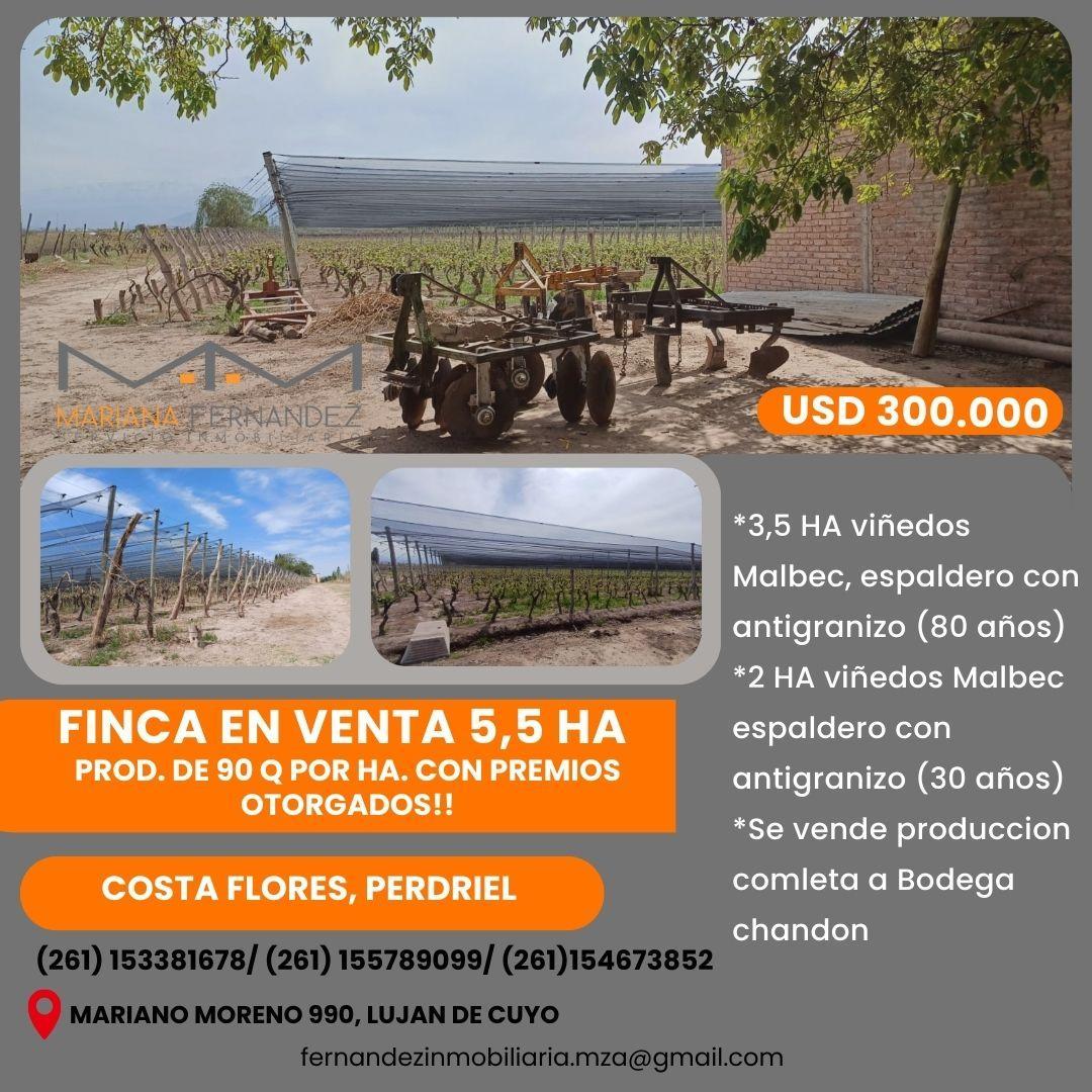 Propiedad en Argentina