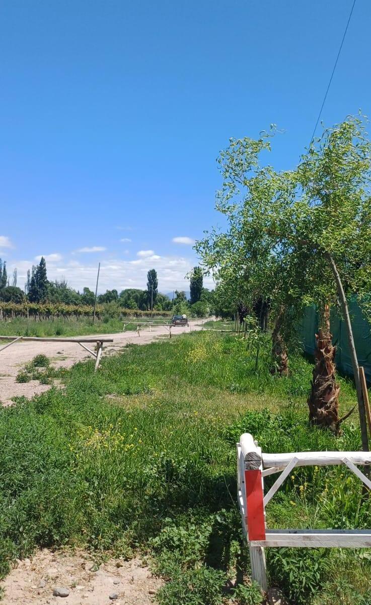 Vendo Lote de 840 m² en Loteo Don Humberto. Perdriel Este. Usd 26.000 4