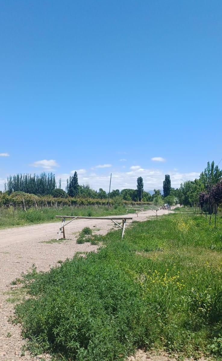Vendo Lote de 840 m² en Loteo Don Humberto. Perdriel Este. Usd 26.000 1