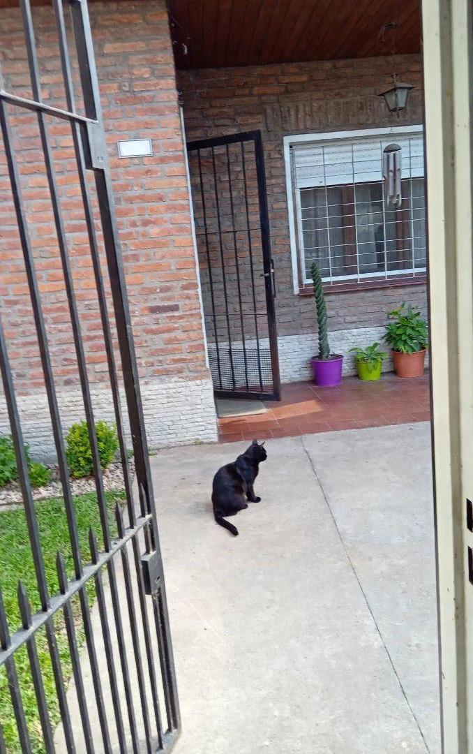 Foto de Casa en alquiler con cochera y terreno libre, imagen 1